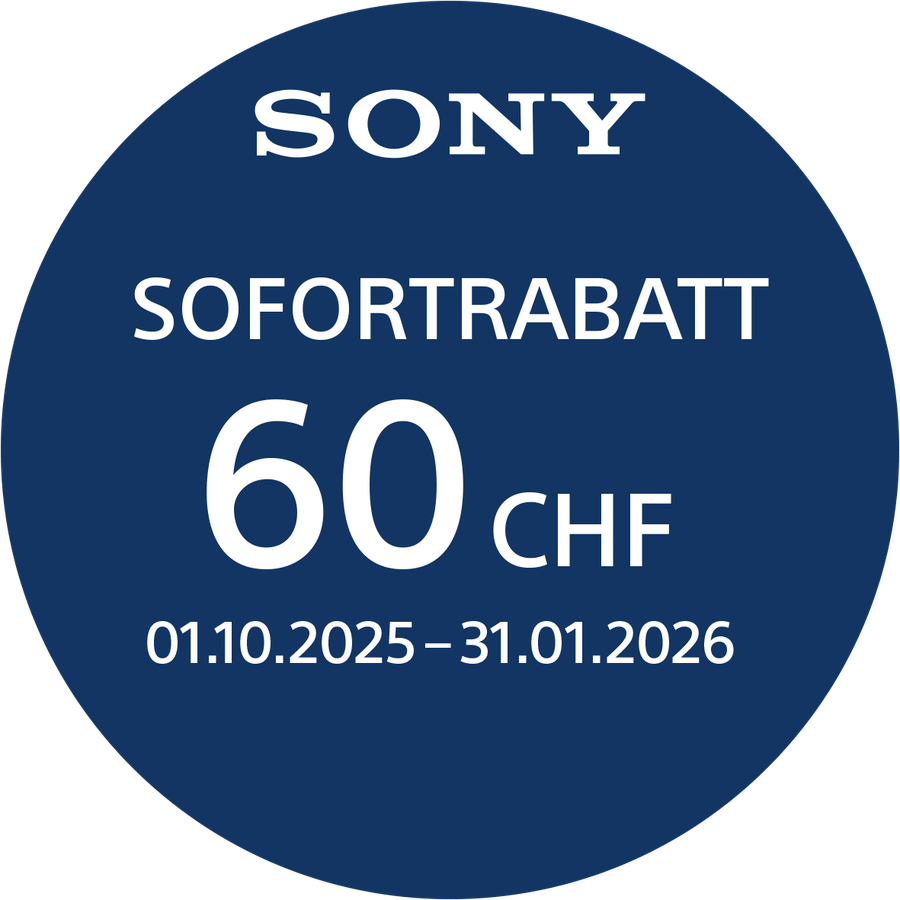 Sony Alpha 6100 A Kit argent 16-50mm II