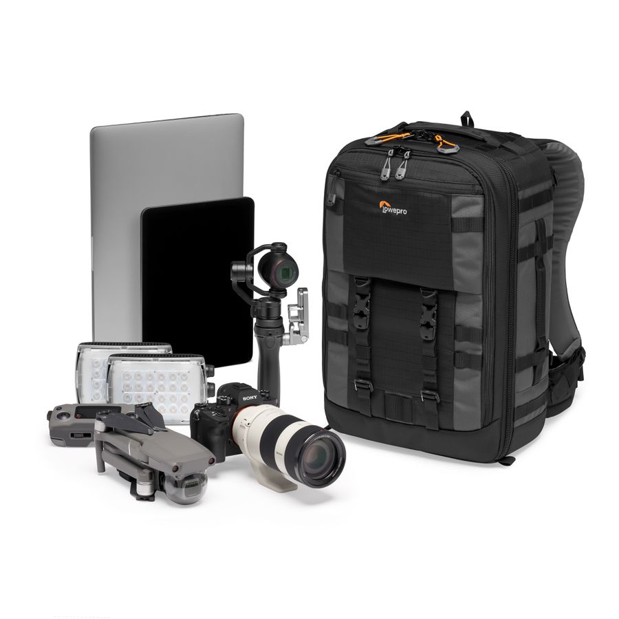 Lowepro Pro Trekker BP 350 AW II (GRL)