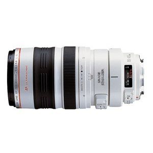 Canon EF 100-400mm 4.5-5.6 L IS USM