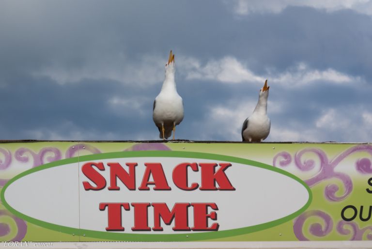 Pentax smc DA 50-200mm/4-5,6 ED WR