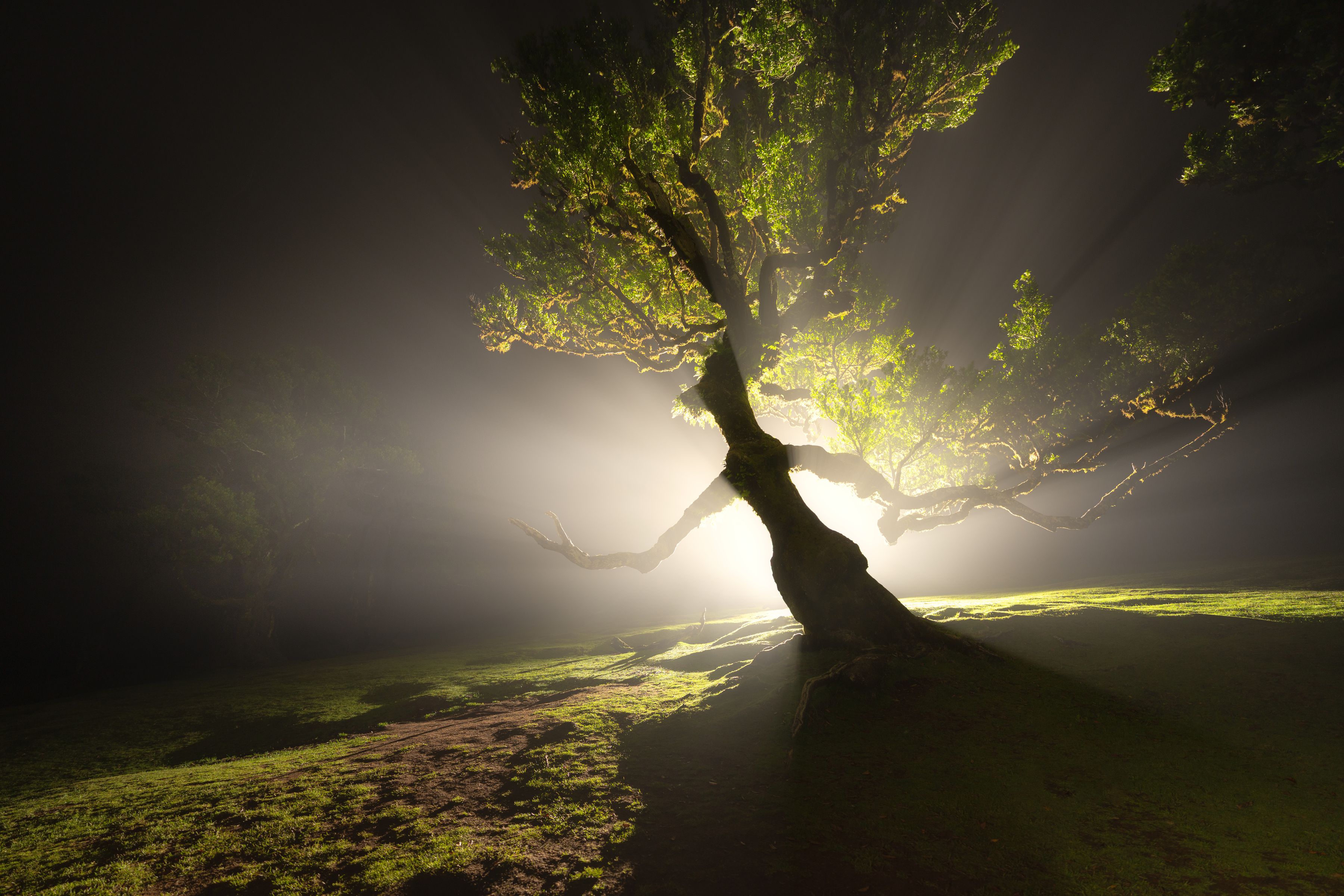 Canon RF 14mm F1.4L VCM