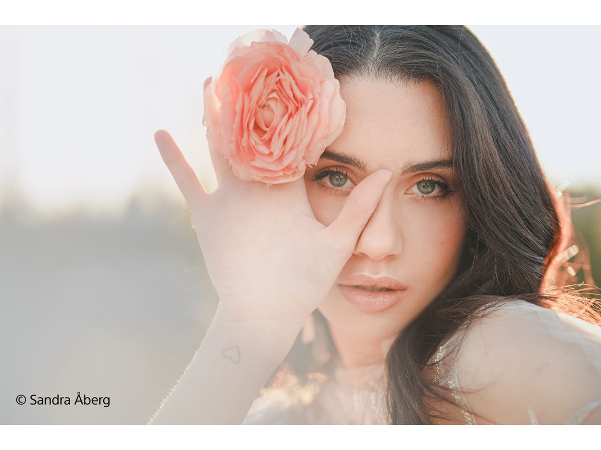Sony E-Mount FF 50mm F1.2 GM