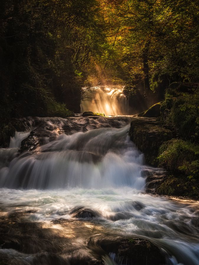 Olympus M.Zuiko PRO Dig. ED 12-45mm F4.0