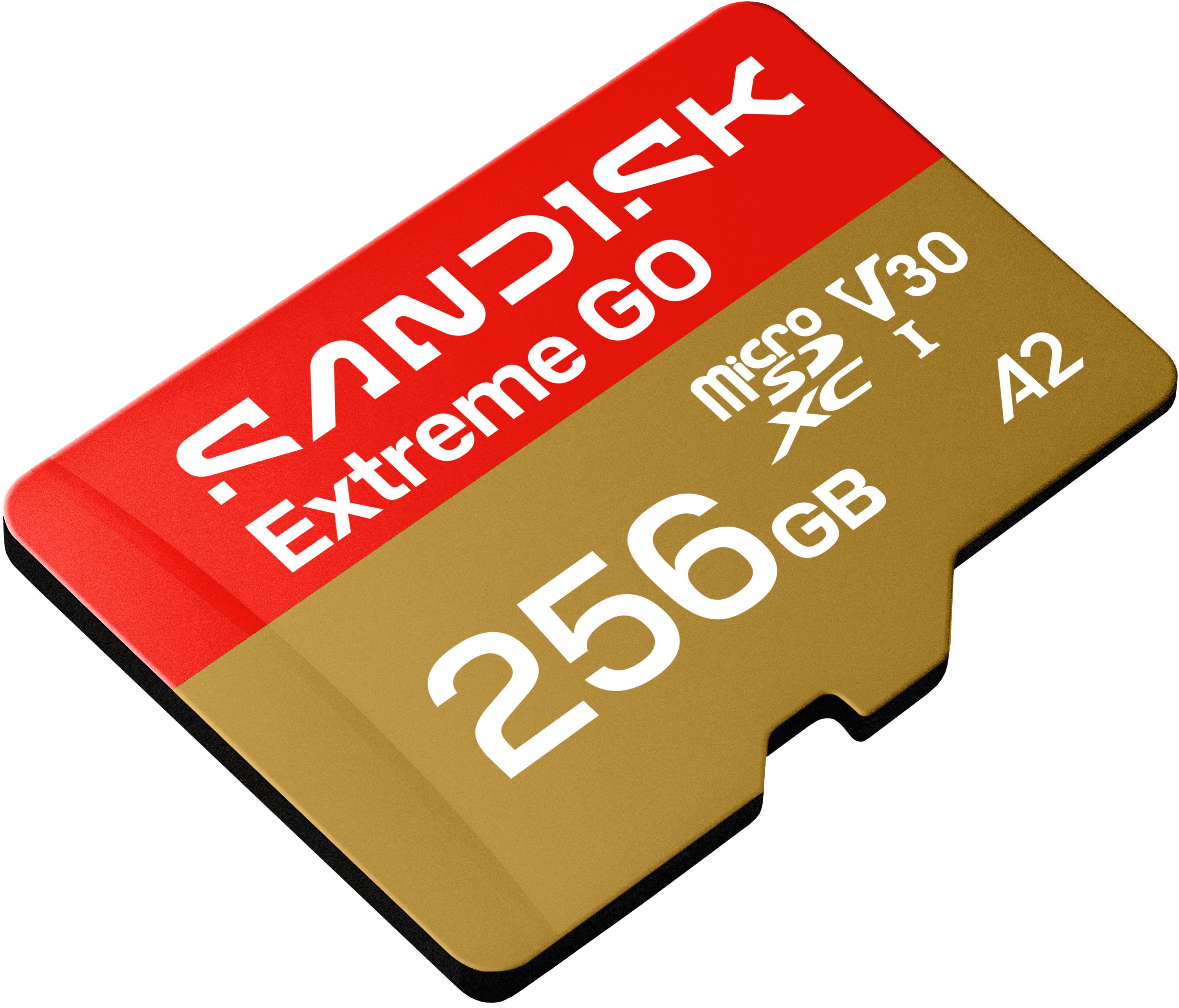 SANDISK Extreme GO microSDXC 256GB