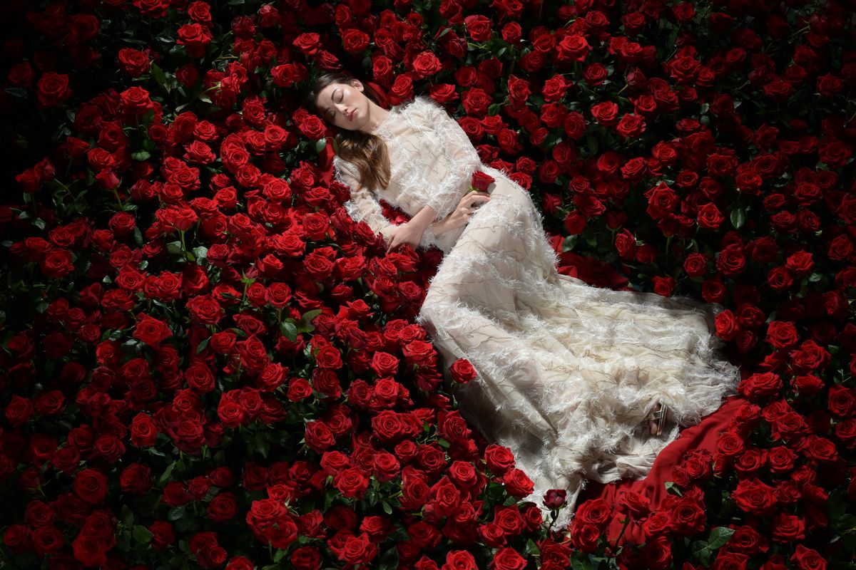 Nikon Z 9 Body black