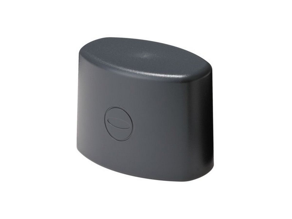 Ricoh Objektiv Abdeckung TL-3
