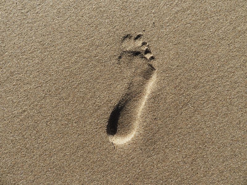 Canon PowerShot SX720 HS noir