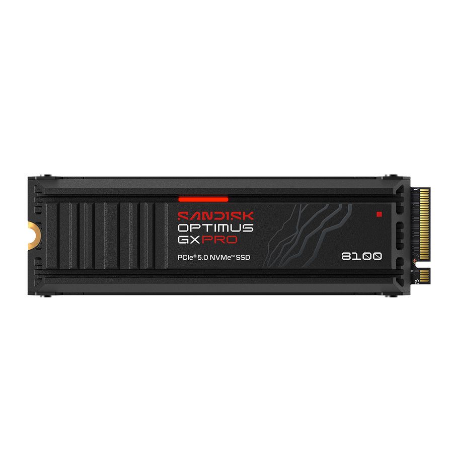 SANDISK Optimus GX PRO 8100 SSD 4TB HS