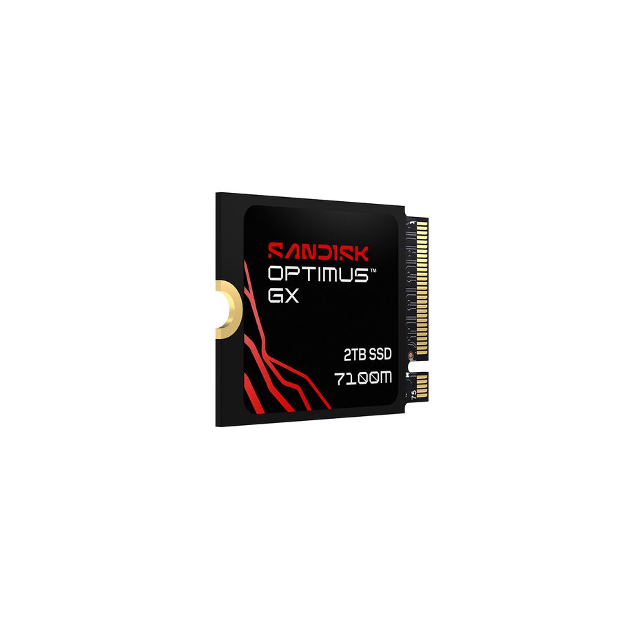 SANDISK Optimus GX7100M NVMe SSD 1TB