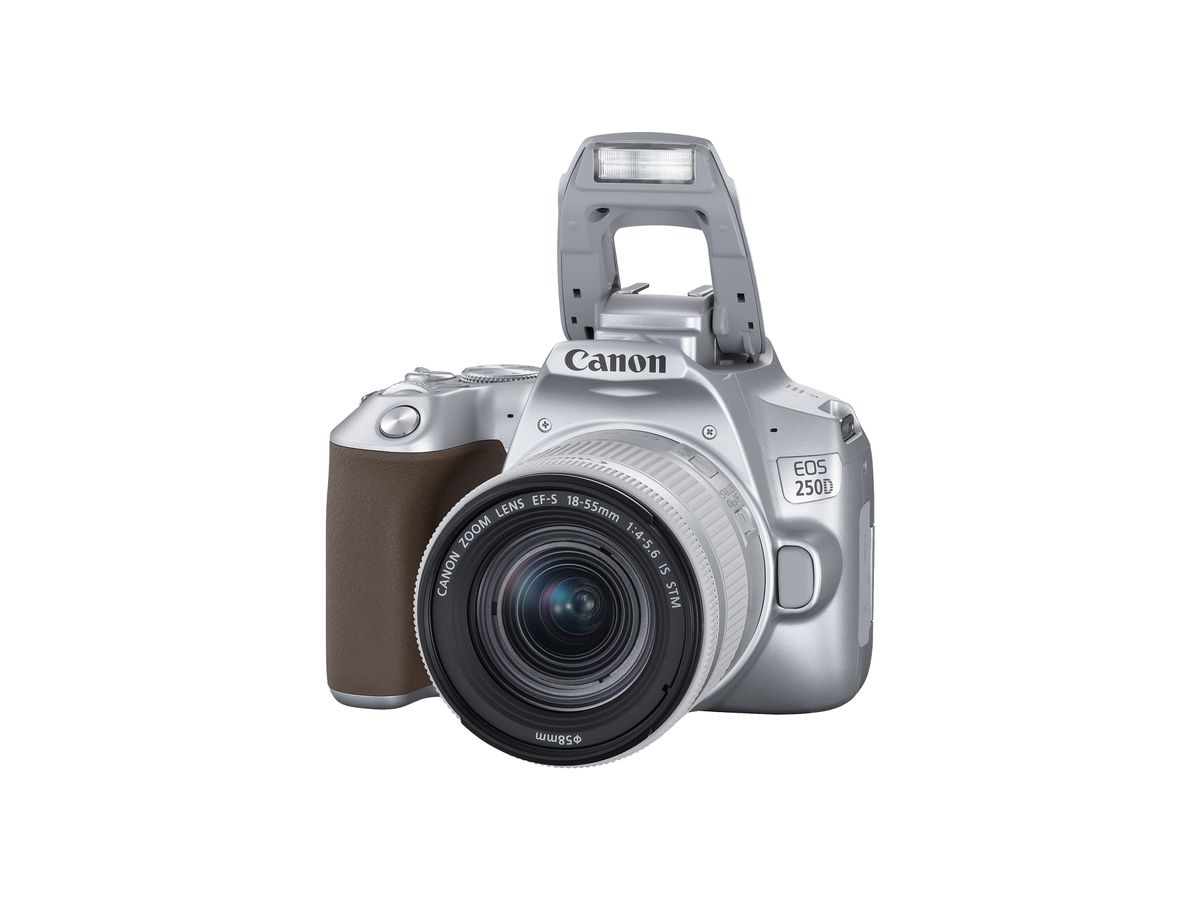 Canon EOS 250D + 18-55mm IS Argent