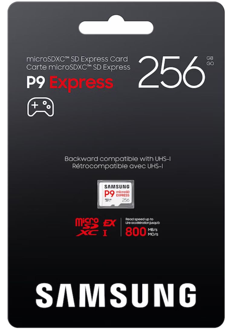 Samsung P9 microSDXC EX 800MB/s 256GB