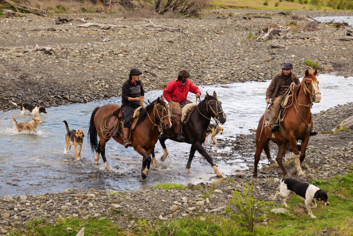 Panasonic Lumix S1 Body