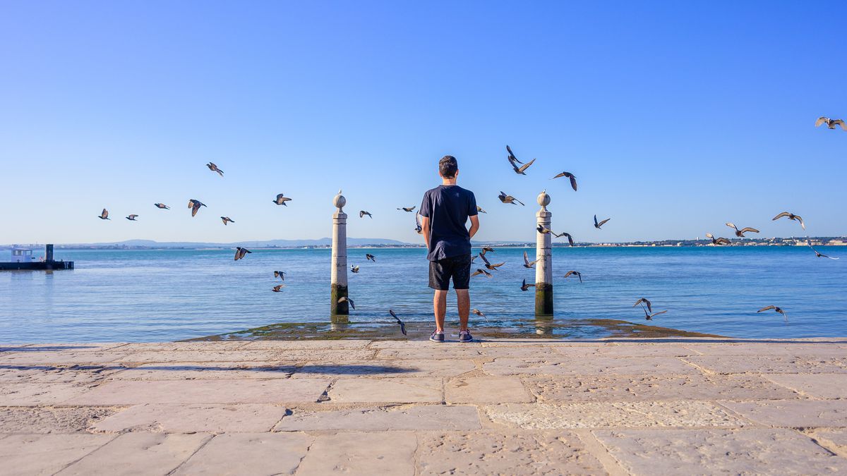 Nikkor Z 17-28mm f/2.8 S