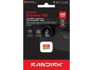 SANDISK Extreme GO microSDXC 256GB