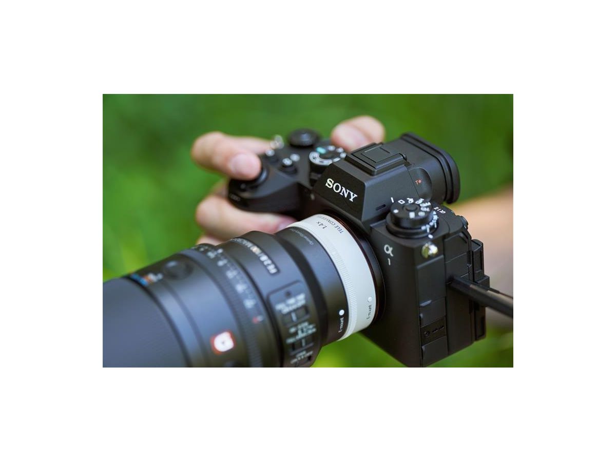 Sony E-Mount FF 100mm F2.8 GM Macro OSS