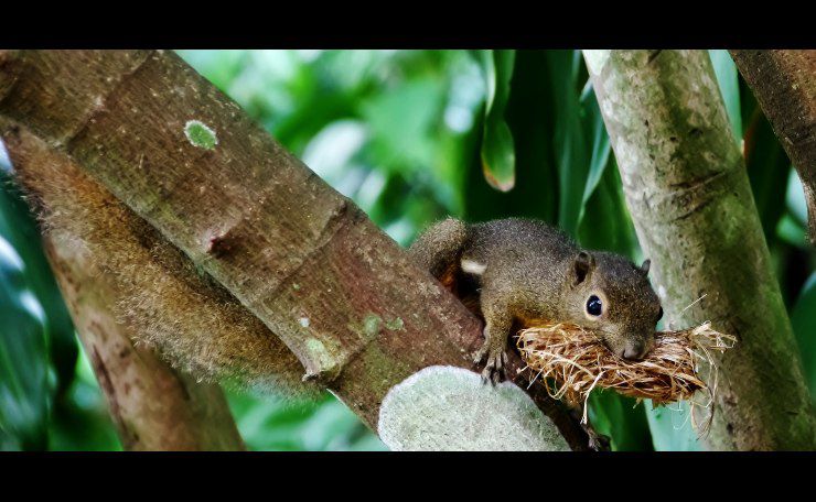 Pentax smc DA 18-270mm/3,5-6,3 SDM