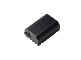 Panasonic Li-Ion Akku DMW-BLK22E