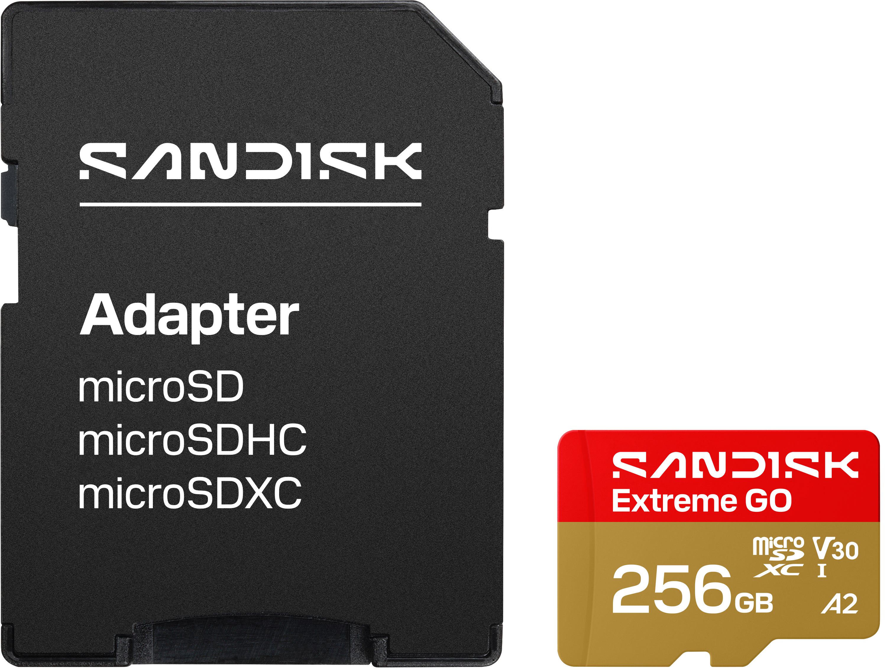SANDISK Extreme GO microSDXC 256GB