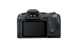 Canon EOS R8 + RF 24-50mm