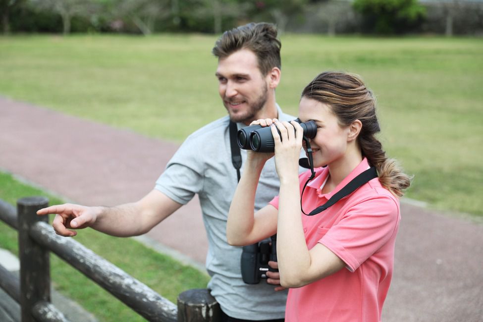 Canon Fernglas 10 x 32 IS