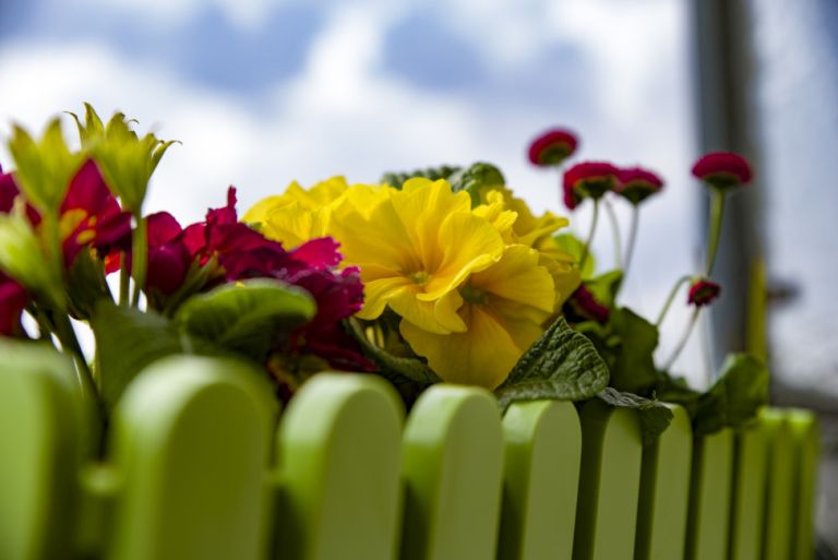 Pentax HD D-FA 24-70mm/2,8 ED SDM WR