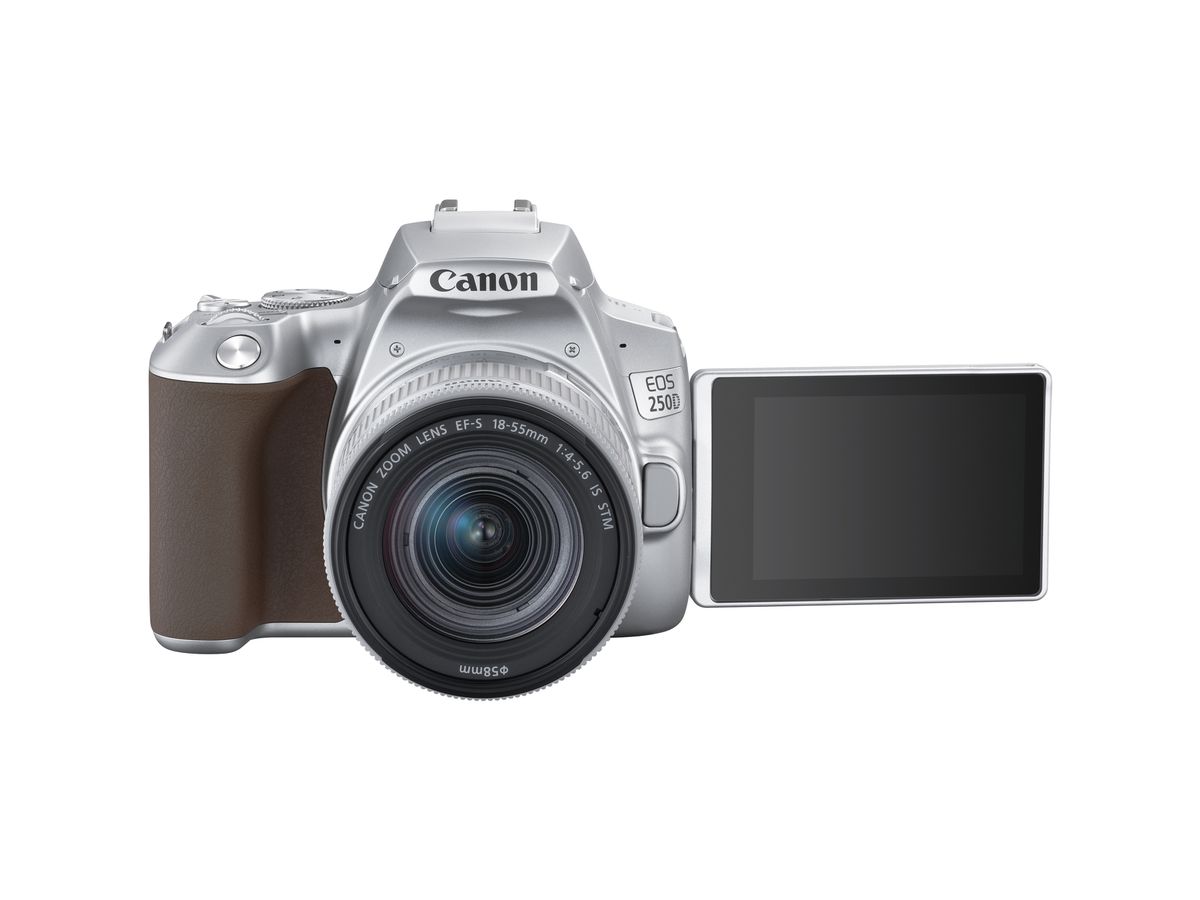 Canon EOS 250D + 18-55mm IS Argent