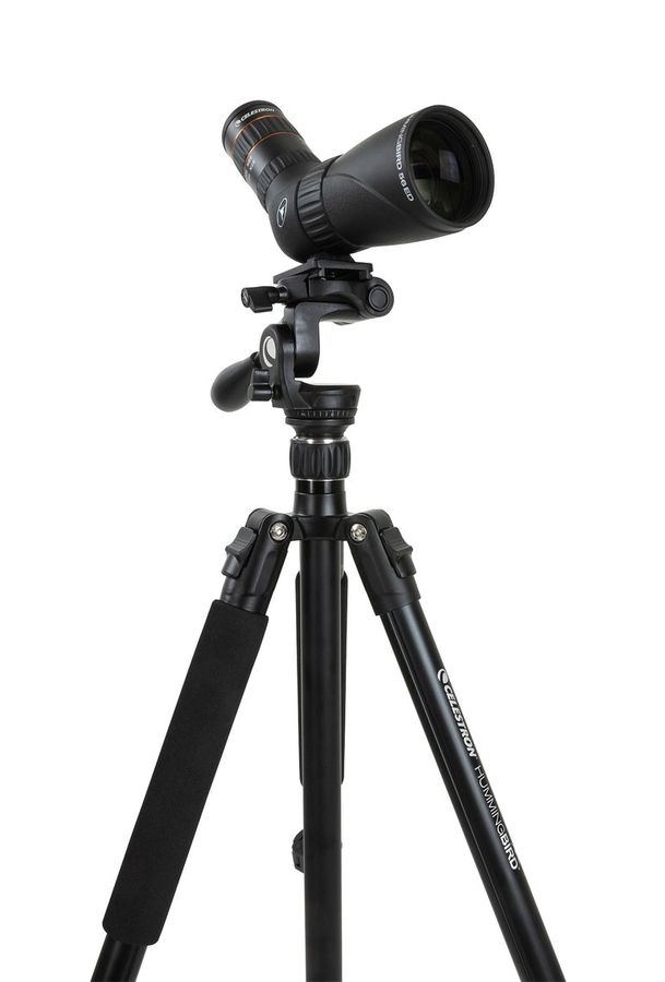 Celestron Stativ Hummingbird