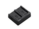 Sony BC-ZD1 Chargeur