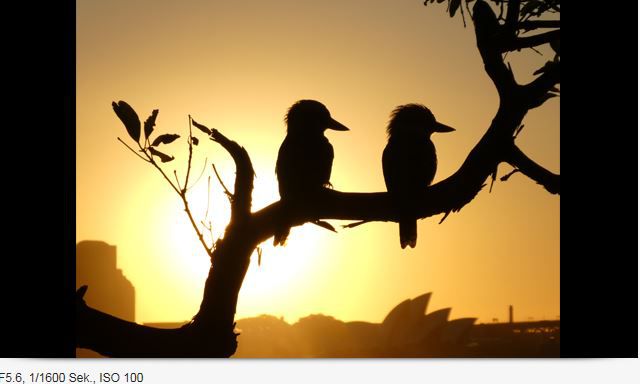 Panasonic DC-TZ91EG-K black