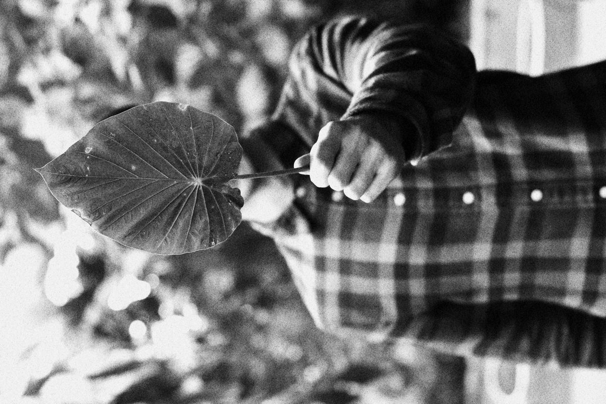 Canon EOS 1300D Boitier