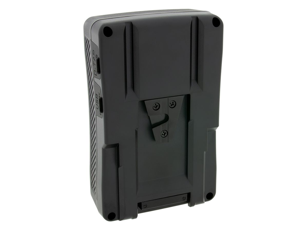 Patona Premium Batterie Sony BP-190WS