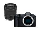 Canon EOS R8 + RF 24-105mm 4-7.1 IS STM