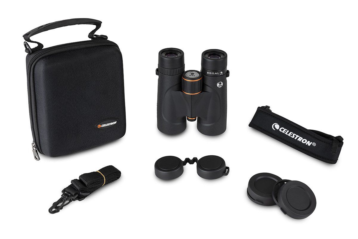 Celestron jumelle Regal ED 8x42