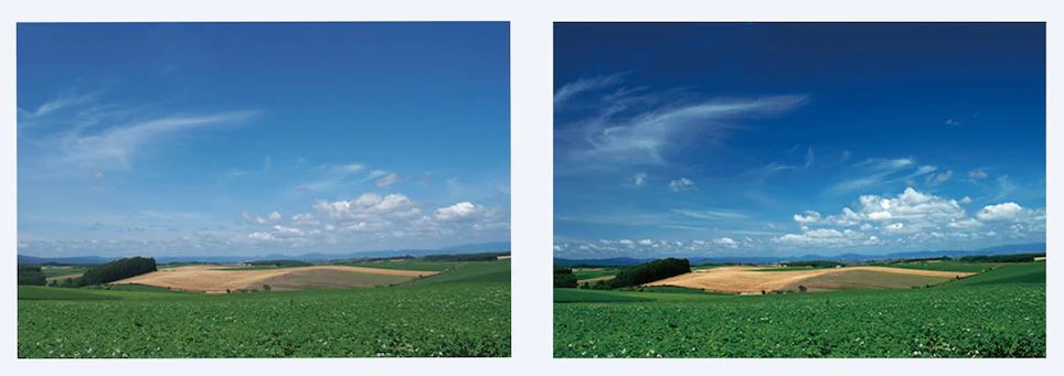 Sony VF-55CPAM2 Polfilter 55 mm