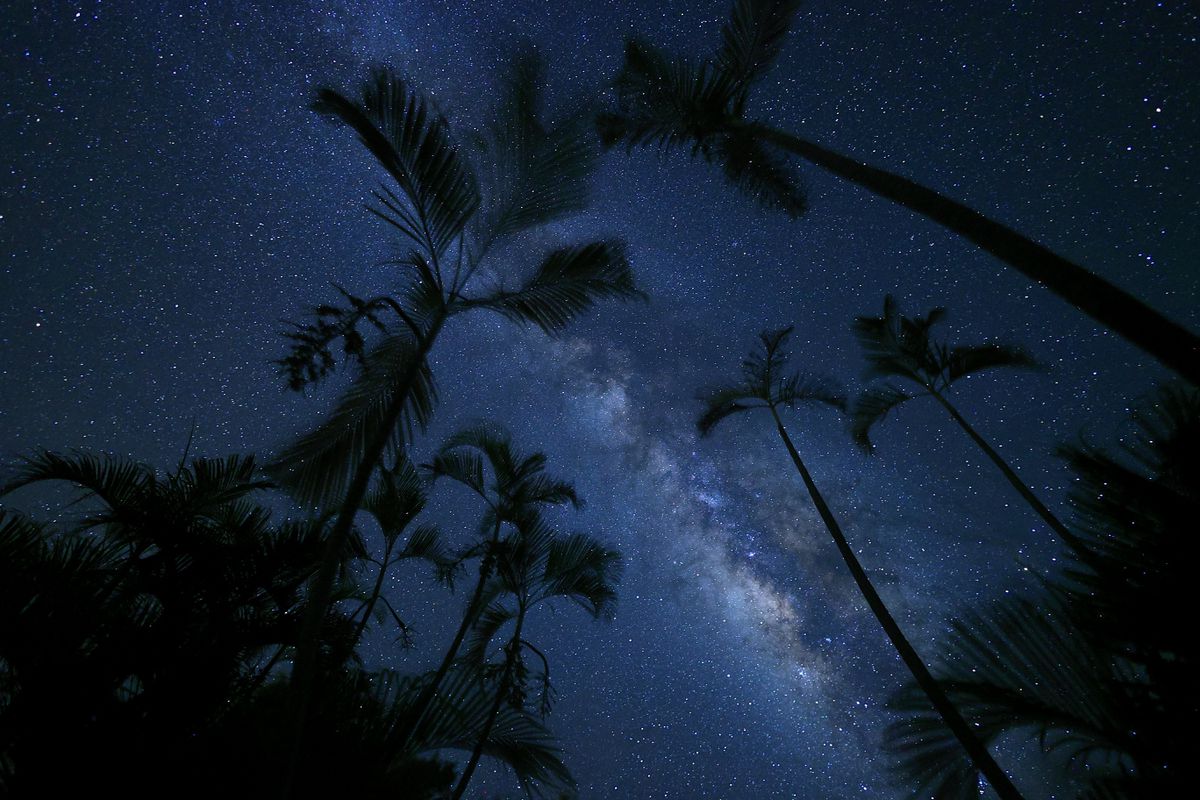 Canon RF 16mm F2.8 STM