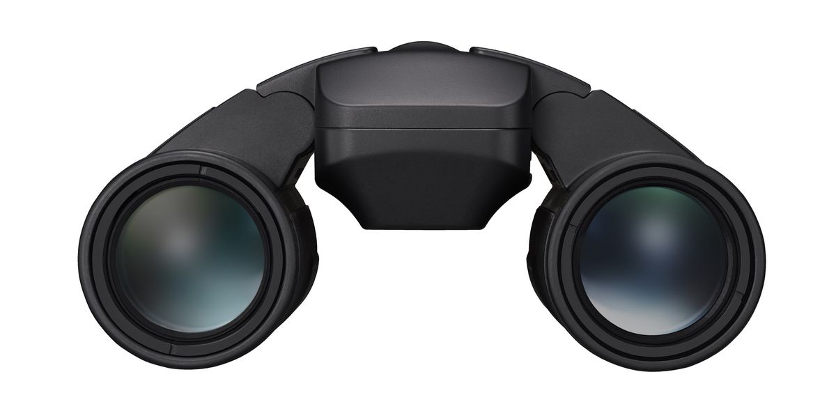 Nikon Fernglas Stabilized 12x25 S