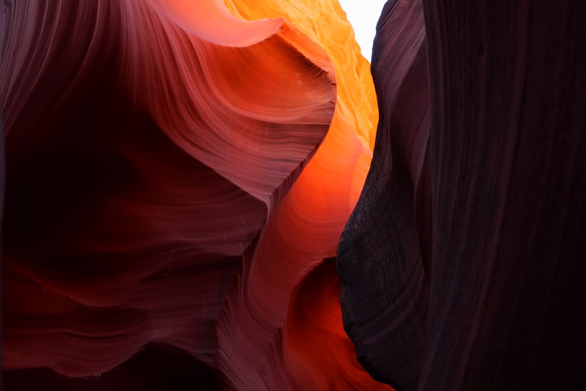 Panasonic Lumix S1R Body + 24-105mm F4.0