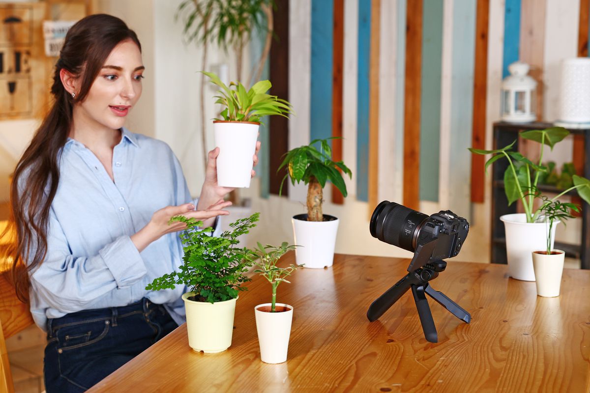 Canon RF 15-30mm f/4.5-6.3 IS STM