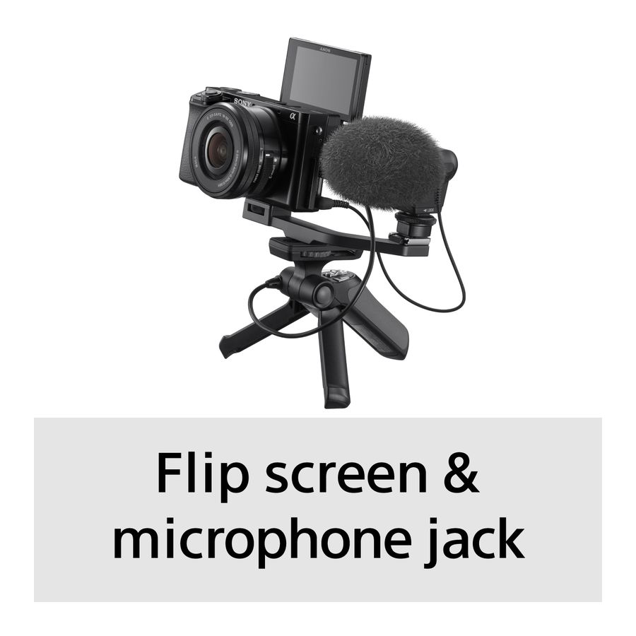 Sony Alpha 6100 Kit 16-50 / 55-210mm