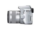 Canon EOS 250D + 18-55mm IS Argent