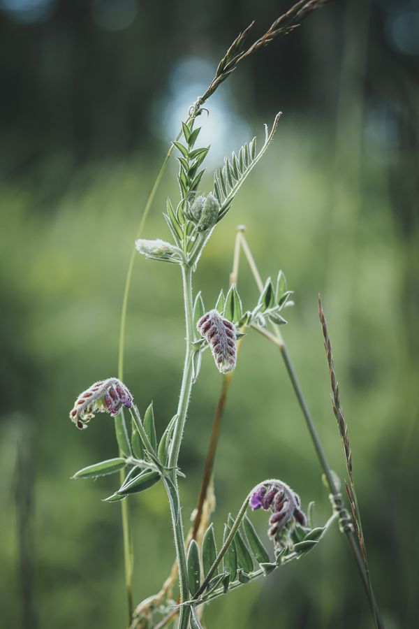 OM System OM-5 Kit Black 12-45mm f4