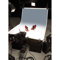 Colorama Colorgrad 110x170cm White/Grey