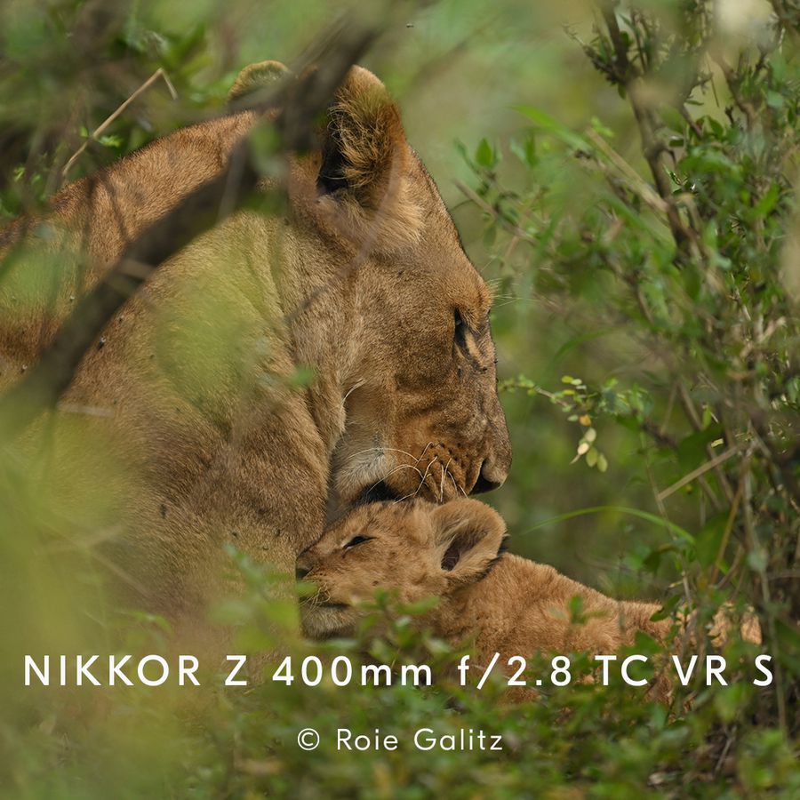 Nikkor Z 400mm f/2.8 S TC