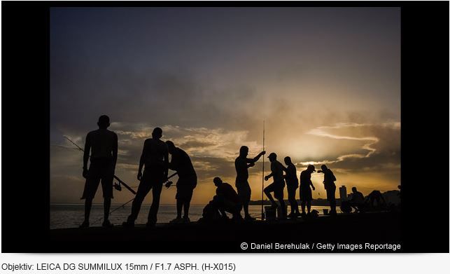 Panasonic DMC-GX8MEG-K black + 12-60mm