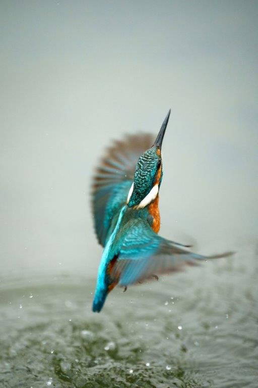 Sony E-Mount FF 70-200mm GM II F2.8 OSS