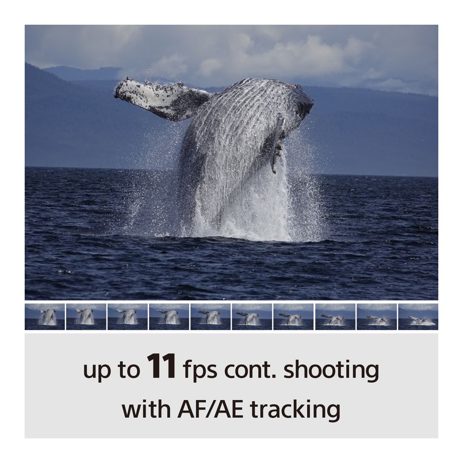 Sony Alpha 6100 Kit 16-50 / 55-210mm