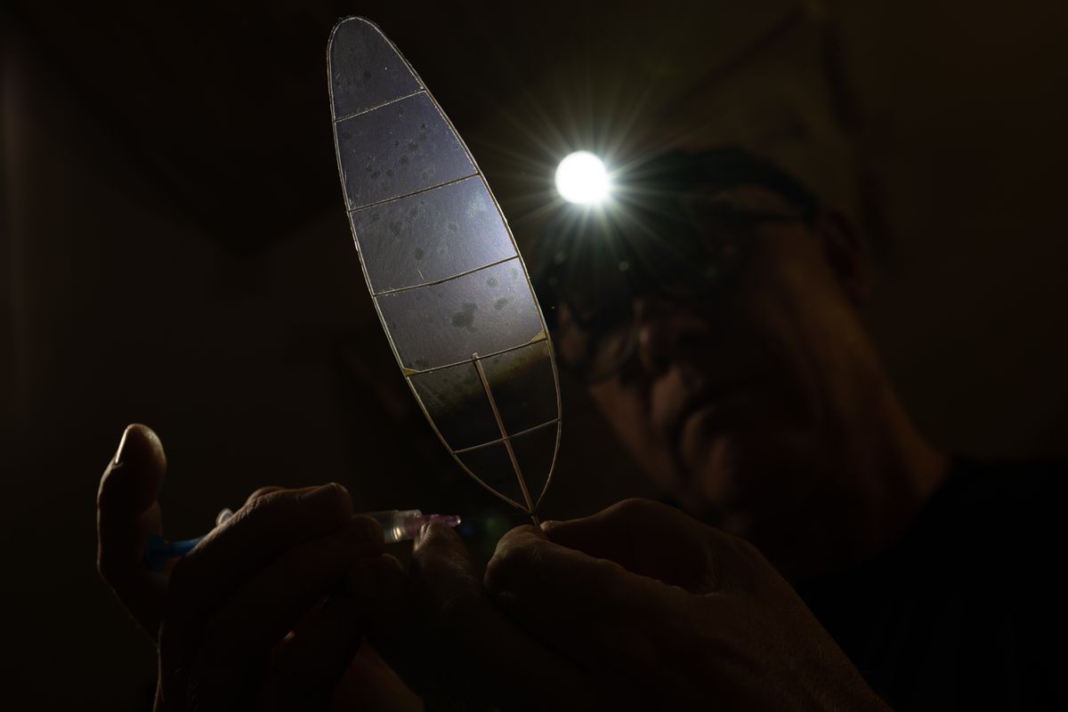 Panasonic Lumix S PRO 24-70mm F2.8