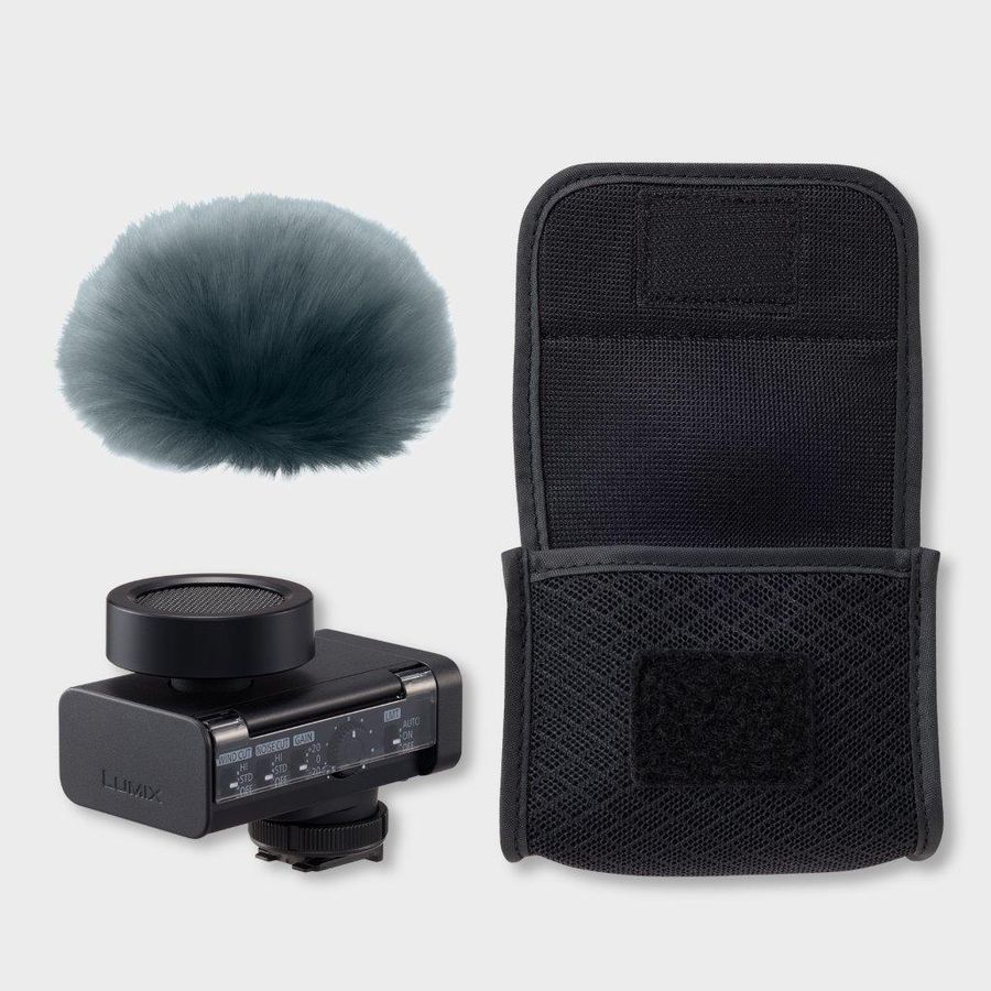 Panasonic Directional Digital Microphone