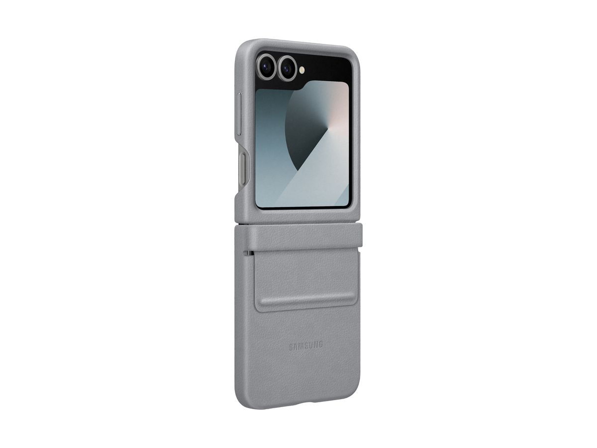 Samsung Flip 6 Kindsuit Case Gray