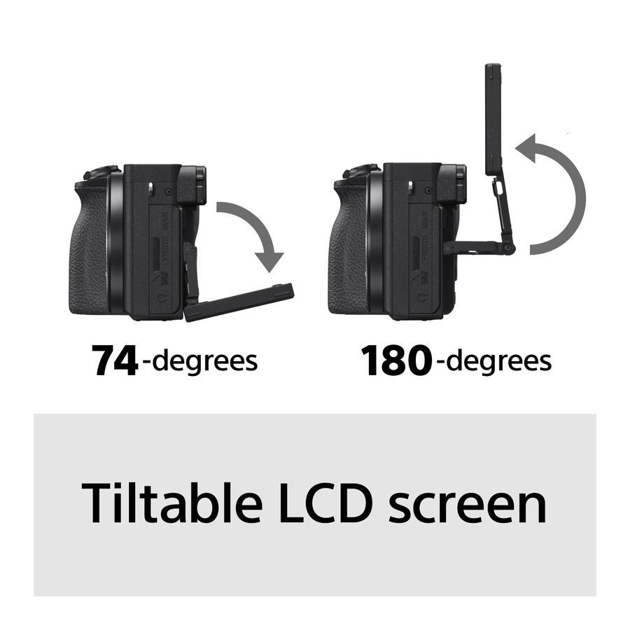 Sony Alpha 6600 Body black